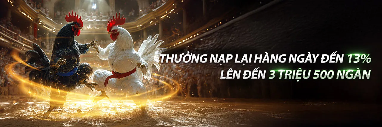 Đá Gà Trực Tuyến HD88 Khuyến Mãi 2026