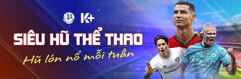 Cài đặt trình duyệt